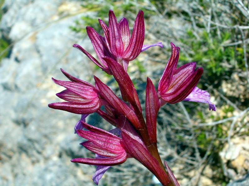 escursione 1 maggio